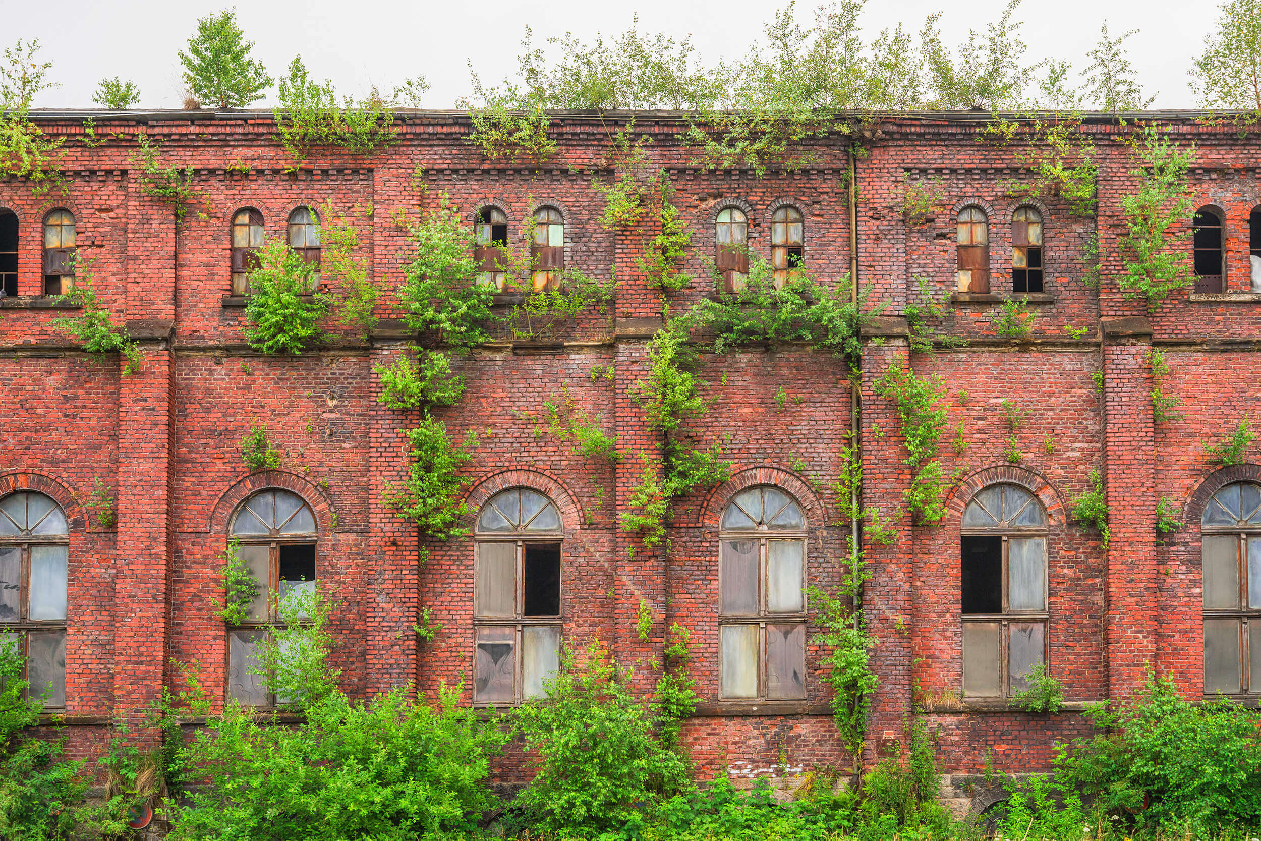 Verlassenes Backsteingebäude einer ehemaligen Industrieanlage, dessen Fassade und Fenster von Pflanzen überwuchert sind; Sinnbild für ein brachliegendes Brownfield mit Sanierungsbedarf.