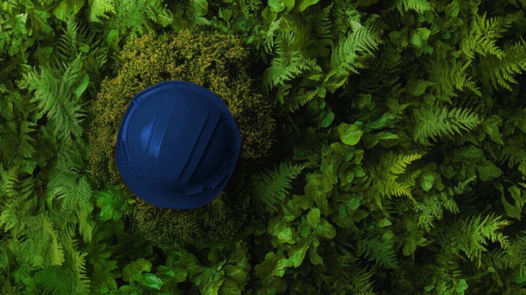 Permitting and Sustainability