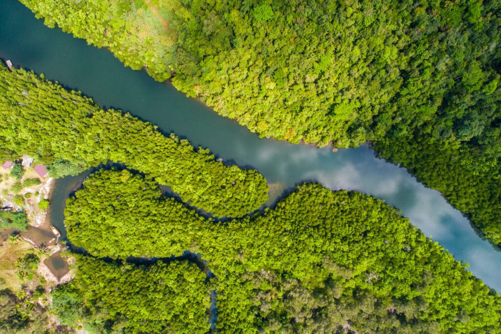 Medio ambiente y seguridad